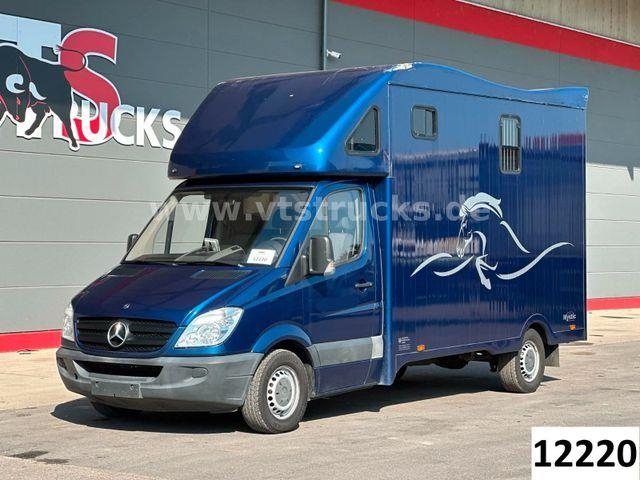 Mercedes-Benz Sprinter 319 CDi KHG Mystic Pferdetransporter
