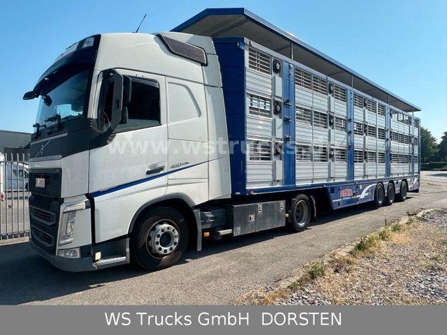 Volvo FH 460 Mega mit Finkl 3 Stock LOF möglich