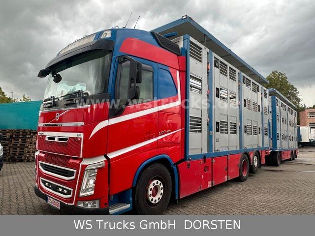 Camion bétaillère Volvo FH 500 Globe XL Menke 3 Stock Hubdach Komplett — occasion 2017