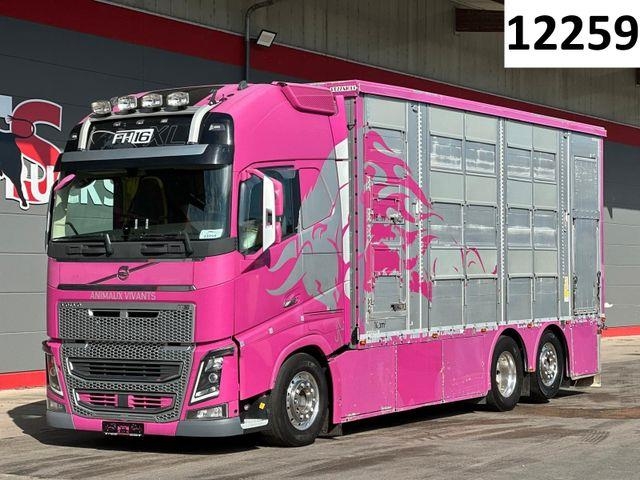 Volvo FH 650 6x2 2.Stock Pezzaioli Viehtransporter