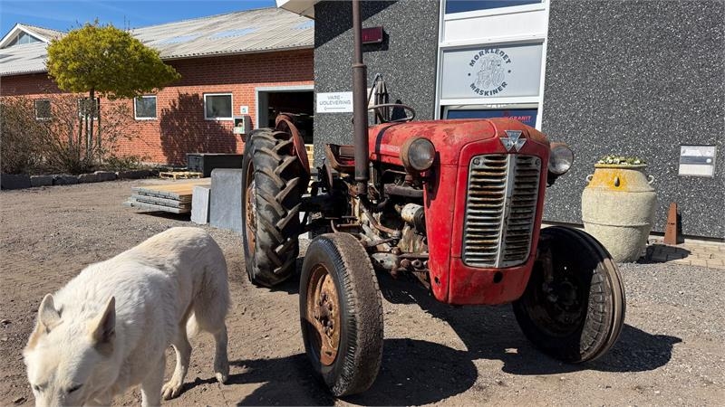 Massey Ferguson 35 Fint projekt traktor