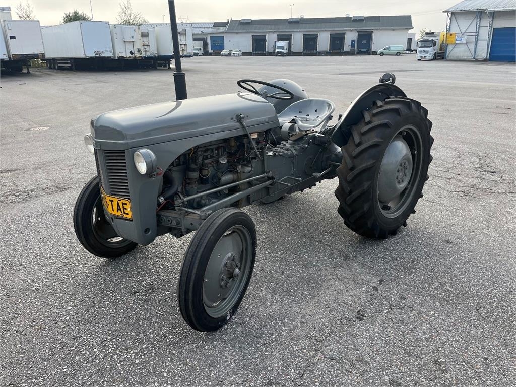 Massey Ferguson 1955 hienossa kunnossa