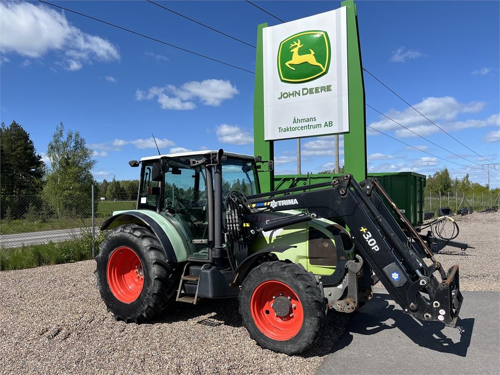 Celtis 446