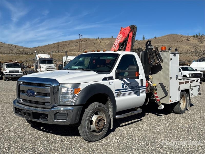Camion plateau grue Ford F65A.0.24 6129 lb Knuckle on Ford F-550 XLT 4 — occasion 2015