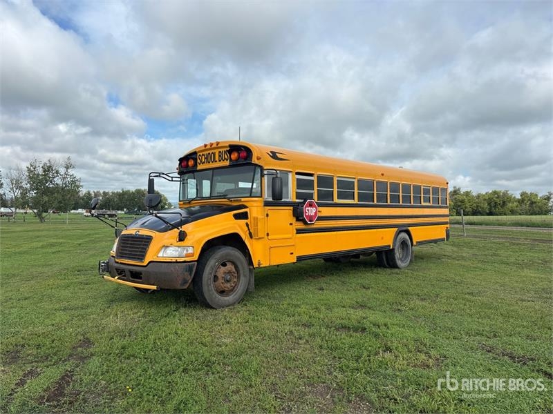 Blue Bird Vision