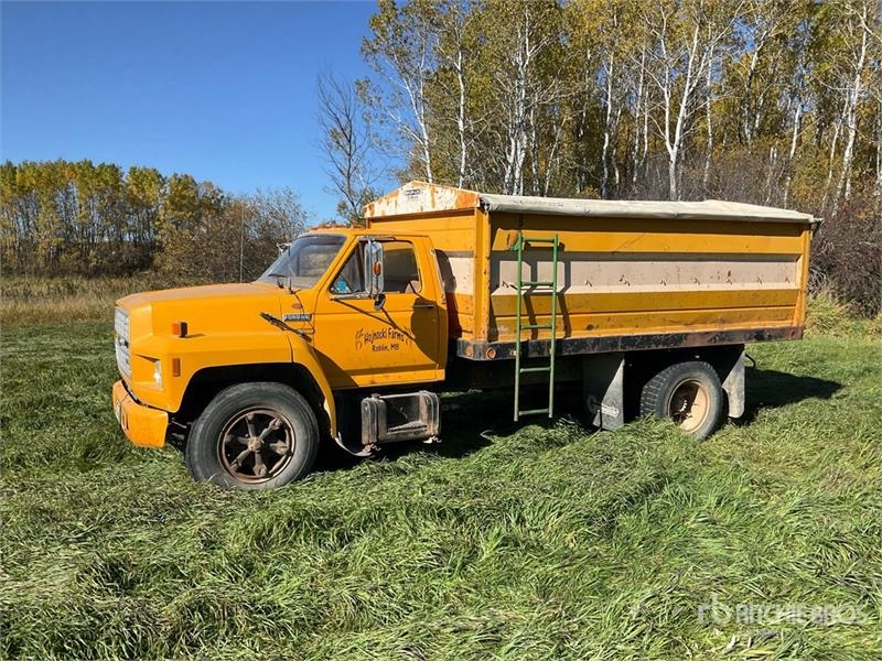 Camion agricole Ford F600 4x2 Grain — occasion