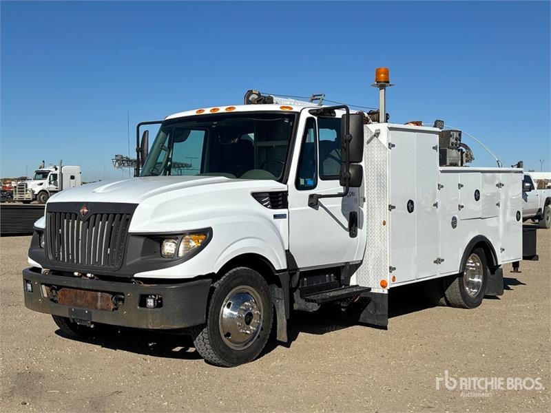 Camion municipal International TerraStar — occasion 2013