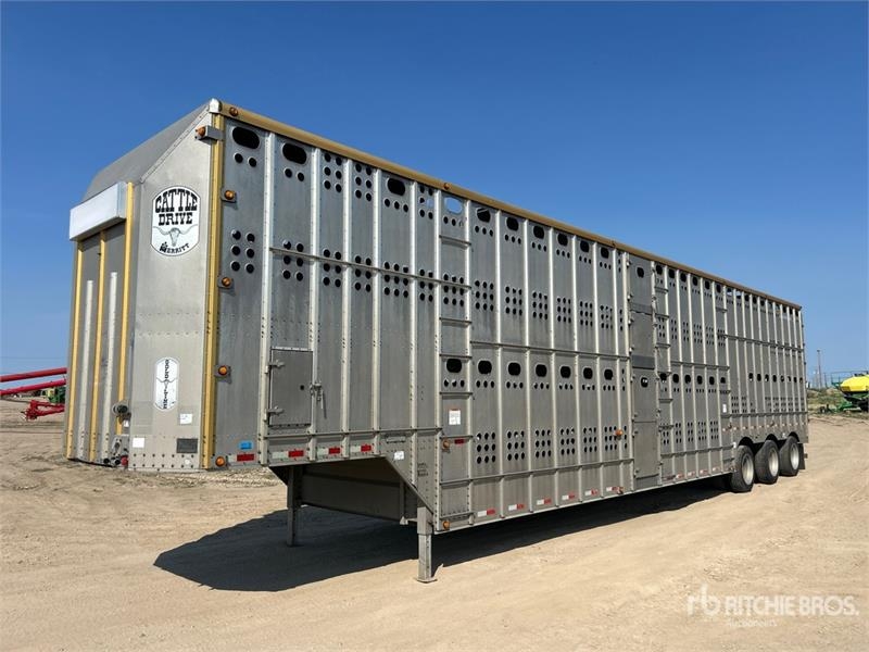 Merritt Cattle Drive Gold Line