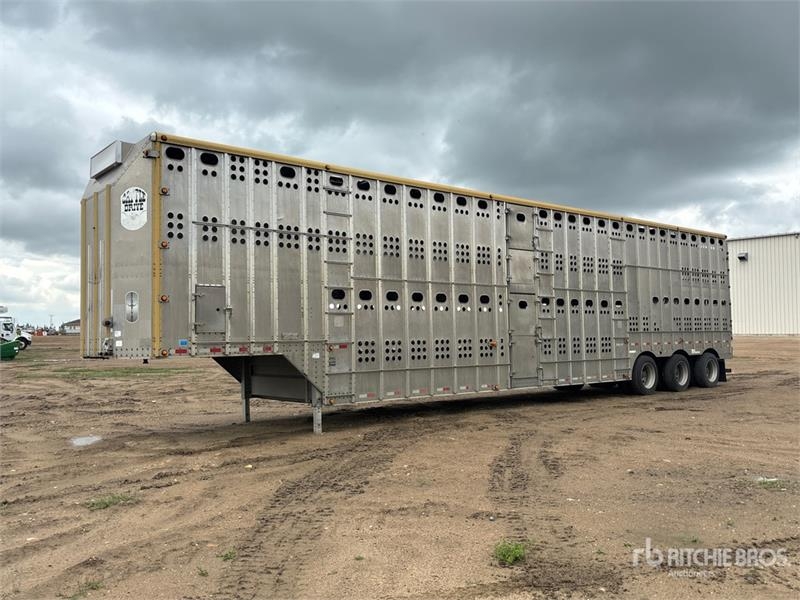 Merritt Cattle Drive Gold Line