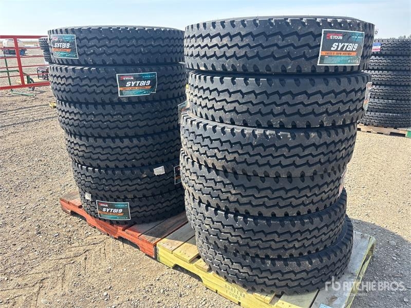 Seyoun of (12) Seyoun 11R22.5 Trailer Tires (Unuse
