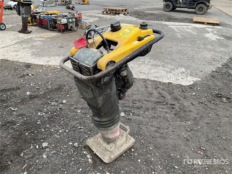 Compacteur Wacker Neuson BS60-2I — occasion 2021