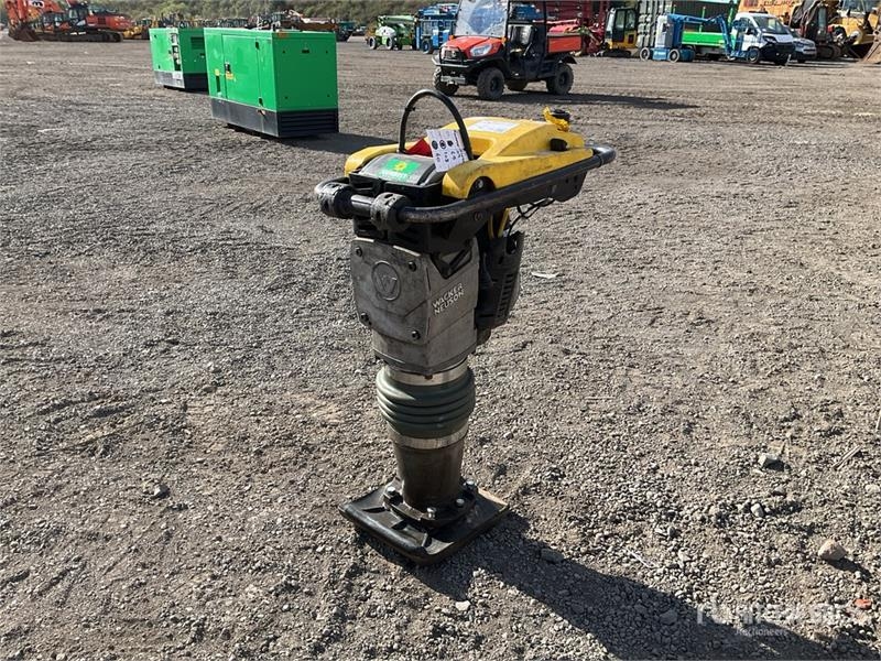 Compacteur Wacker Neuson BS60-2I — occasion 2019