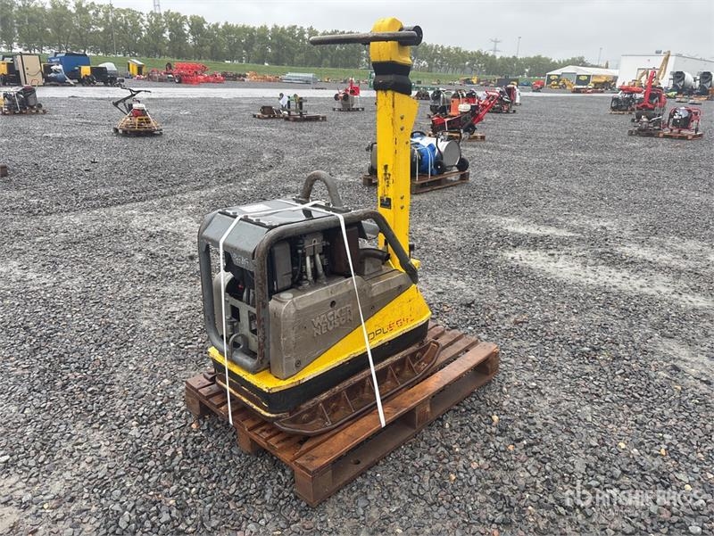 Plaque vibrante Wacker Neuson DPU5545Heh Vibratory Plate Compactor — occasion 2017