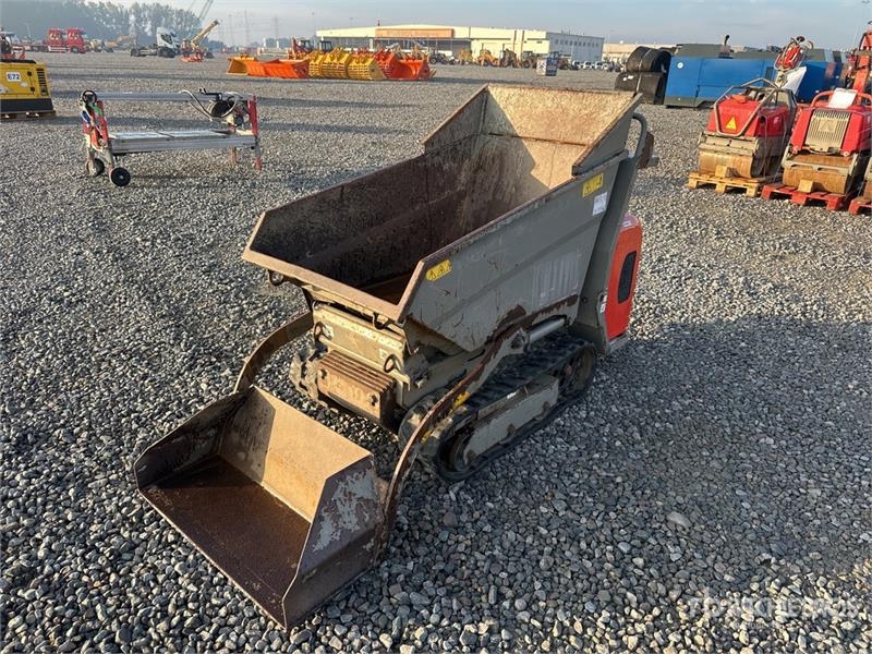 Mini-tombereau Wacker Neuson DT08 Stand-On Self-Loading Crawler — occasion 2017, 1 070 h