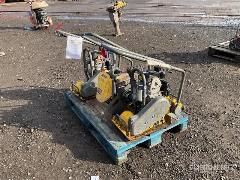 Plaque vibrante Wacker Neuson of (3) Wacker Neuson VP 1030 Vibratory Plate Compa — occasion