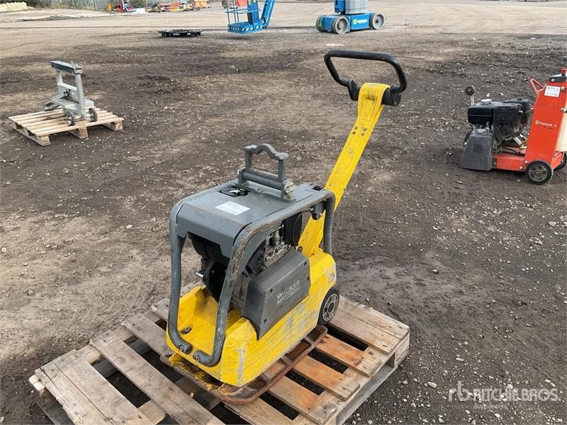 Plaque vibrante Wacker Neuson Vibratory Plate Compactor — occasion