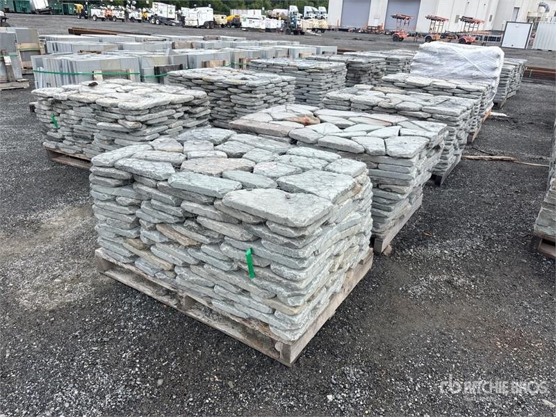 Quantity of (8) 1.5 in Tumbled Irregular Pavers &