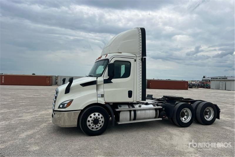 Tracteur routier Freightliner Cascadia 116 — occasion 2019