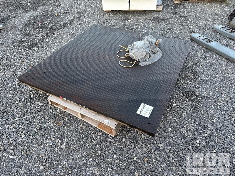 Wingfield Scale
