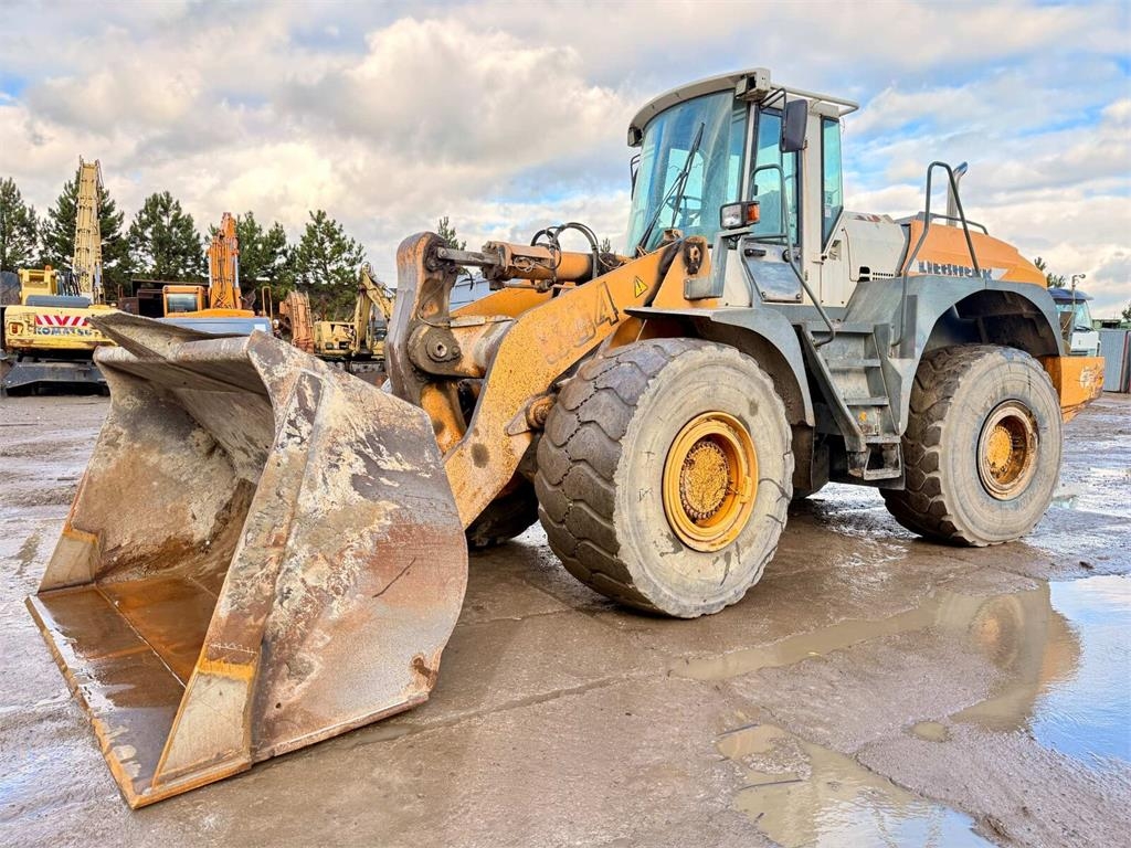 Liebherr L564