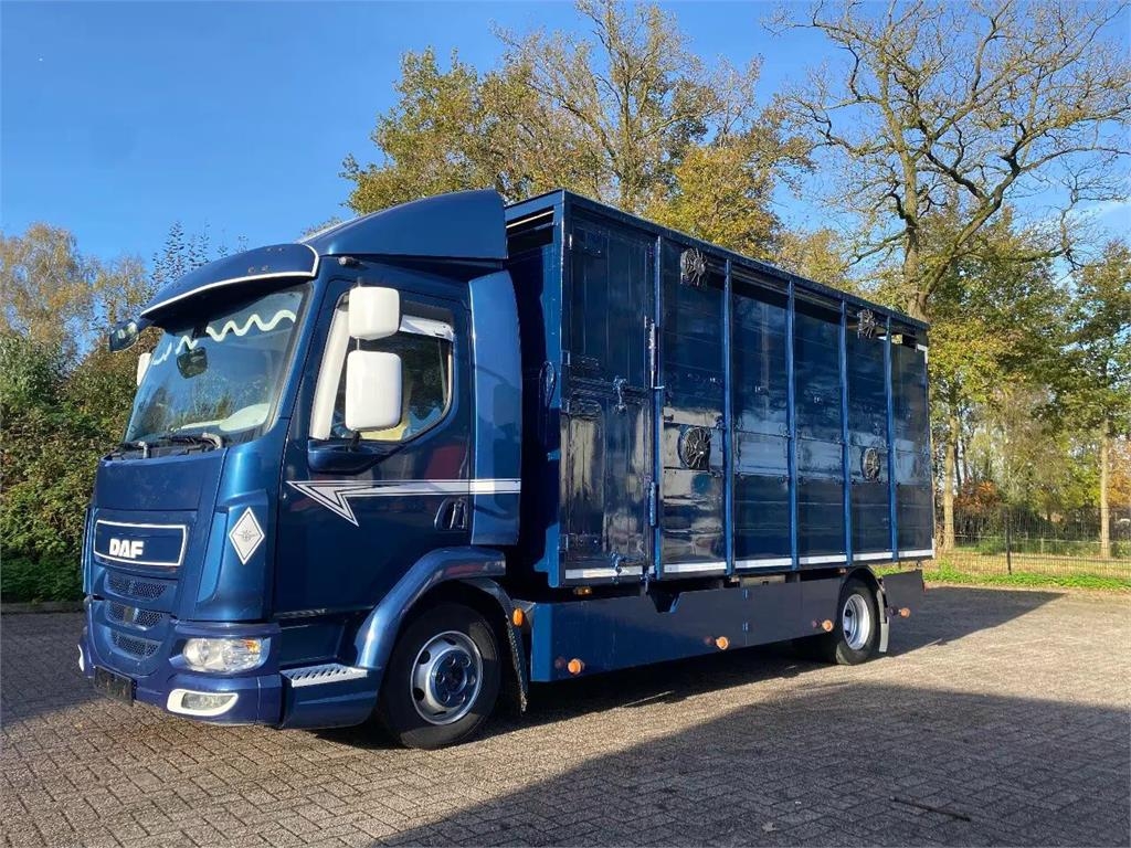 DAF LF 280
