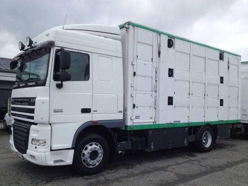 DAF XF105 410 livestock trailer truck