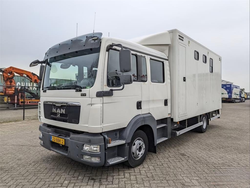 MAN TGL 12.180 - Doka Horse transporter