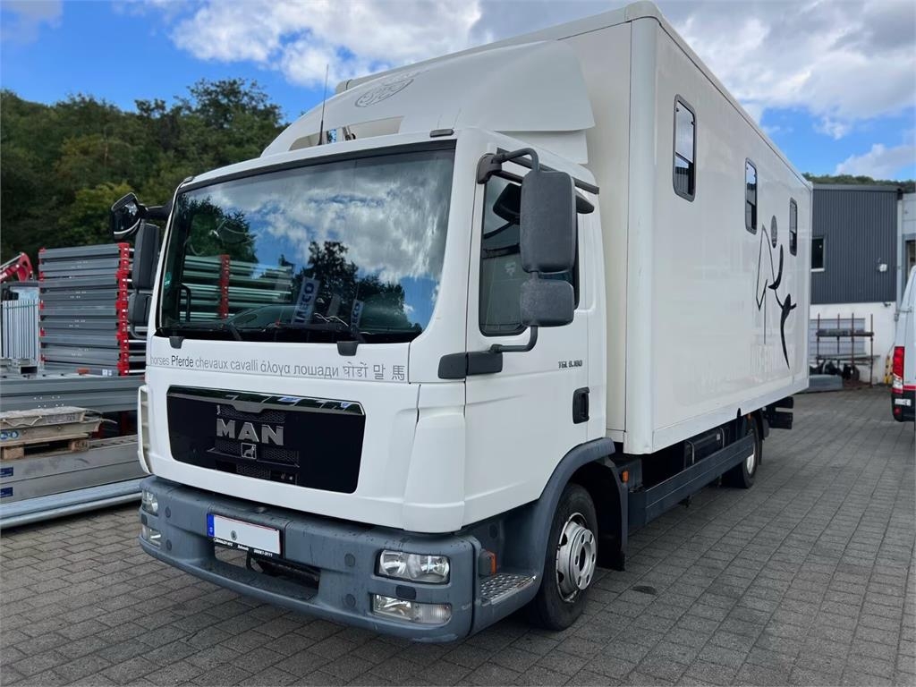 MAN TGL 8.180 - Horse transporter