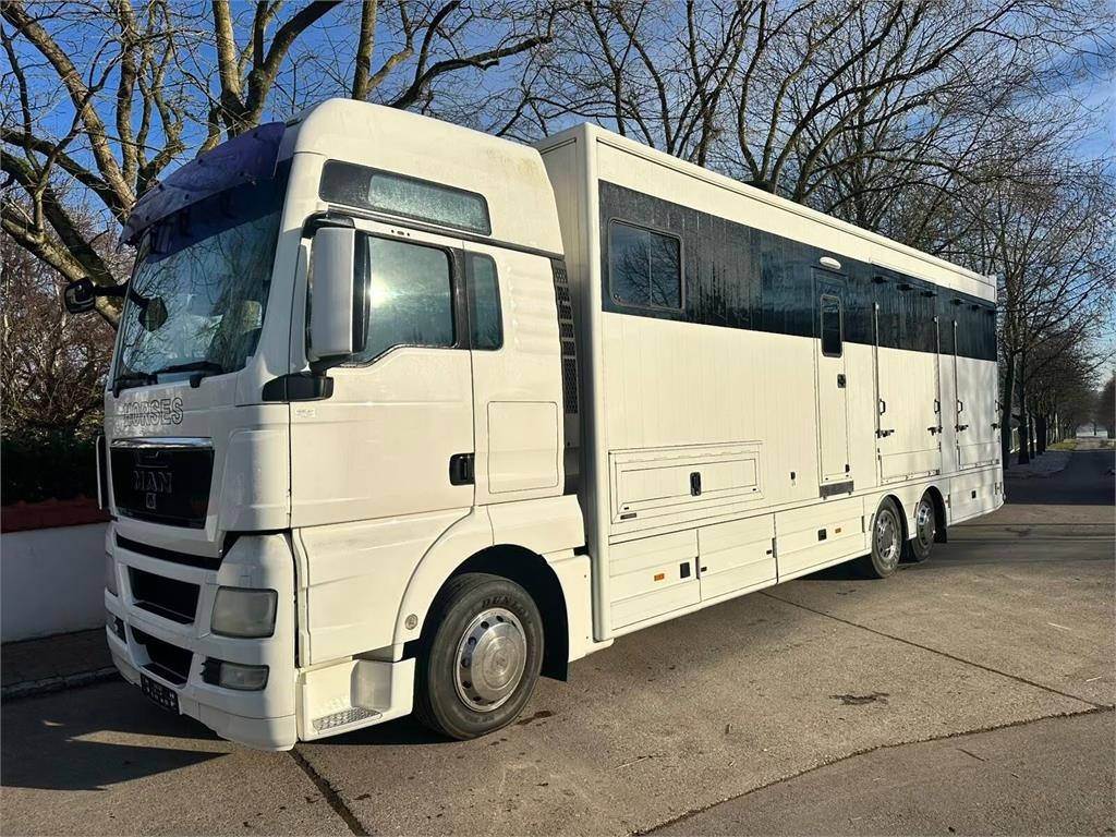 MAN TGX 26.440 - Horse transporter