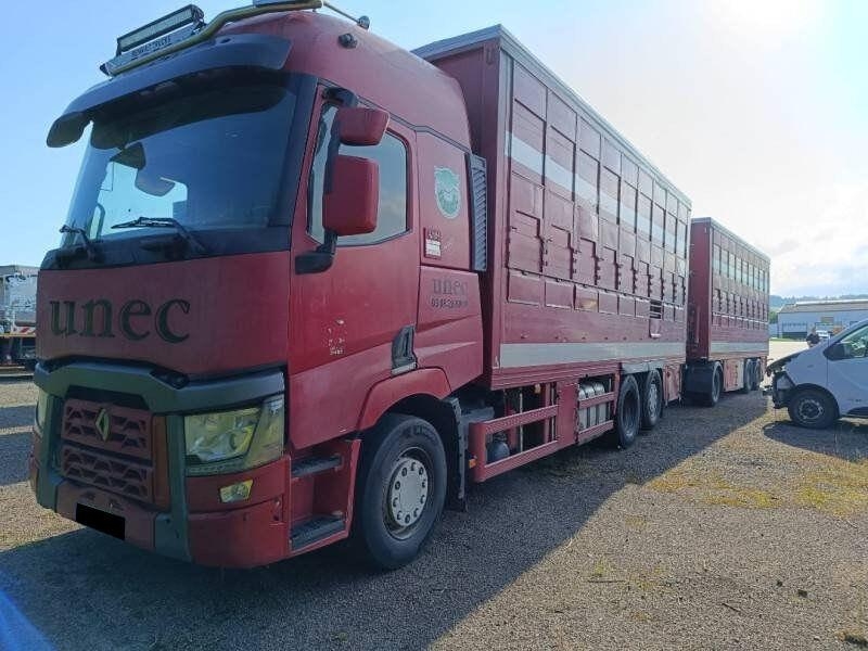 Renault T 520 P livestock trailer truck