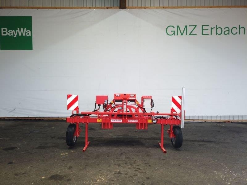 Maschio INTELLIGENTE GASPARDO VERSCHIE