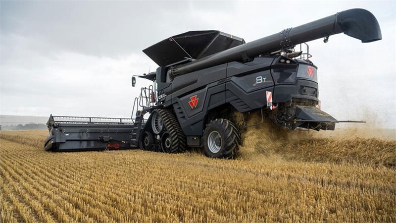 Moissonneuse-batteuse Massey Ferguson IDEAL 8T MED 35 FODS POWERFLOW SKÆREBORD! — occasion 2020, 550 h
