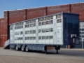 Semi-remorque bétaillère Pezzaioli - 3 stock livestock - Water & Ventilation - St — occasion 2026