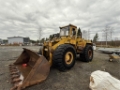Chargeuse sur pneus Hanomag C66 — occasion 1980, 24 550 h