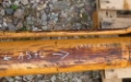 Case siłownik ramienia łyżki cx230 długi 157cm L1570 — occasion