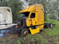 Tracteur routier Freightliner — occasion 2013