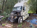 Tracteur routier Freightliner Cascadia 125 — occasion 2011