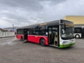 Autocar MAN Lions City A 21 mehrfach verfügbar TOP — occasion 2018