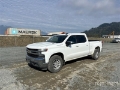 Fourgon utilitaire Chevrolet Silverado 1500 LT 4x4 Crew Cab Pickup — occasion 2021