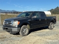 Fourgon utilitaire Ford F-150 XLT 4x4 Crew Cab Pickup — occasion 2013