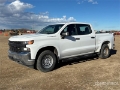 Fourgon utilitaire Chevrolet Silverado 1500 4x4 Crew Cab Pickup — occasion 2020