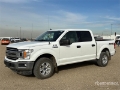 Fourgon utilitaire Ford F-150 — occasion 2019