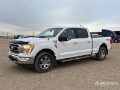 Fourgon utilitaire Ford F-150 — occasion 2021