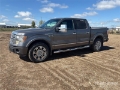 Fourgon utilitaire Ford F-150 Platinum 4x4 Crew Cab Pickup — occasion 2009