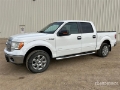Fourgon utilitaire Ford F-150 XLT 4x4 Crew Cab Pickup — occasion 2013