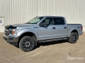 Fourgon utilitaire Ford F-150 XLT 4x4 Crew Cab Pickup — occasion 2019