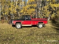 Fourgon utilitaire GMC Wrangler 4x4 Pickup — occasion 1986