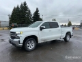 Fourgon utilitaire Chevrolet Silverado 1500 LT 4x4 Crew Cab Pickup — occasion 2019