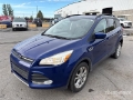 Voiture Ford Escape SE 4WD SUV — occasion 2016