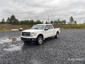 Fourgon utilitaire Ford F-150 FX4 4x4 Crew Cab Pickup — occasion 2010